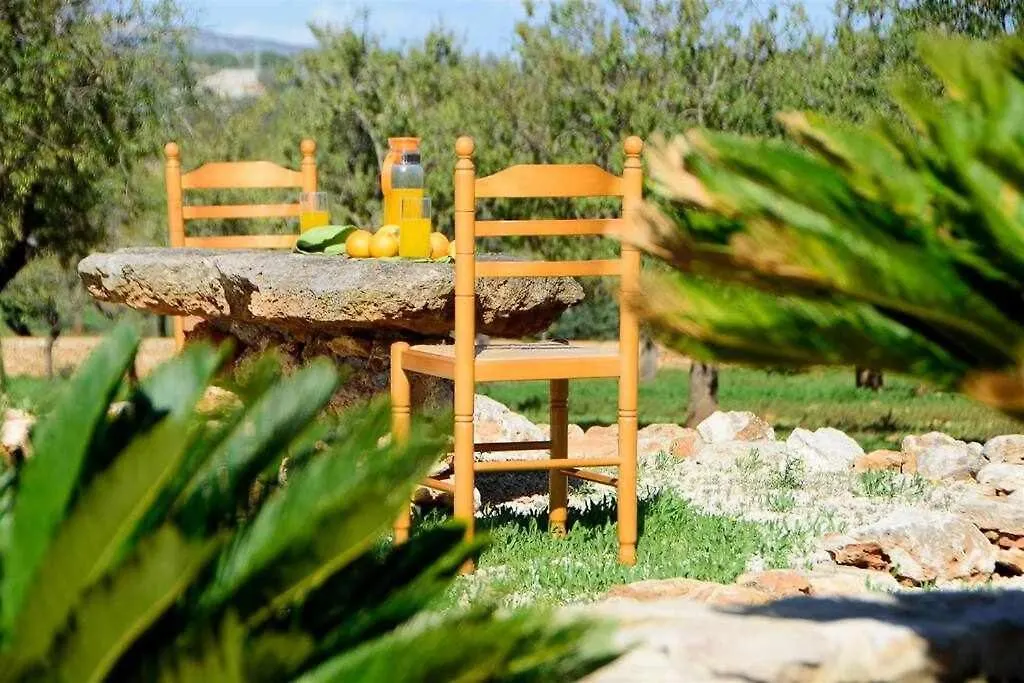 Finca Sa Pletassa 8 Pax Wifi Piscina Jardin Bbq S'Horta 0*,  Spain